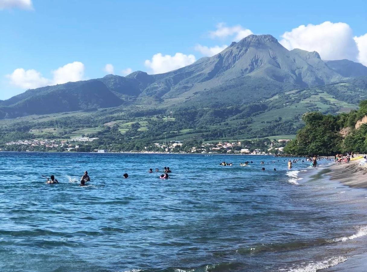 Carribbean Madicreole Au Carbet Villa Le Carbet Bagian luar foto
